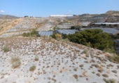 Non-developable land for sale in Vélez de Benaudalla ref: TR306987 photo
