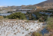Non-developable land for sale in Vélez de Benaudalla ref: TR306987 photo
