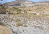 Non-developable land for sale in Vélez de Benaudalla ref: TR306987 photo