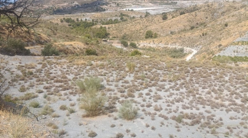 Granada - Велес-де-Бенаудалья - 4200m2