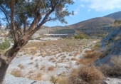 Non-developable land for sale in Vélez de Benaudalla ref: TR306987 photo