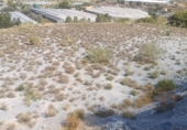 Non-developable land for sale in Vélez de Benaudalla ref: TR306987 photo