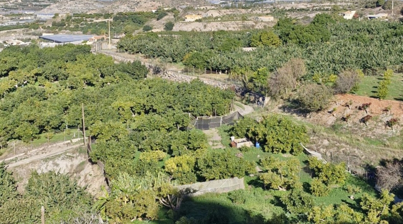 Granada - Puntalón - 75m2
