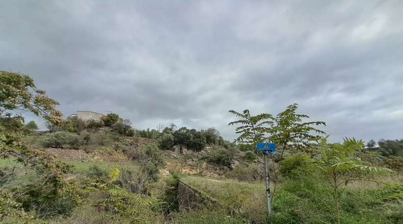 Comunidad de Madrid - La Cabaña - 11237m2