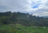 Finca rústica en venta en la España, Becerril de la Sierra, ref: TR104799 foto