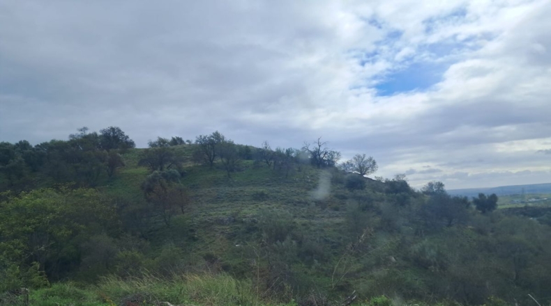 Comunidad de Madrid - La Cabaña - 11237m2