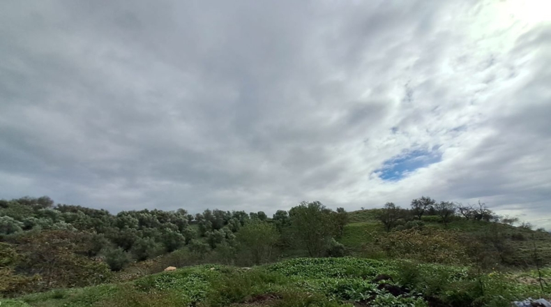 Comunidad de Madrid - La Cabaña - 11237m2