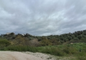 Finca rústica en venta en la España, Becerril de la Sierra, ref: TR104799 foto