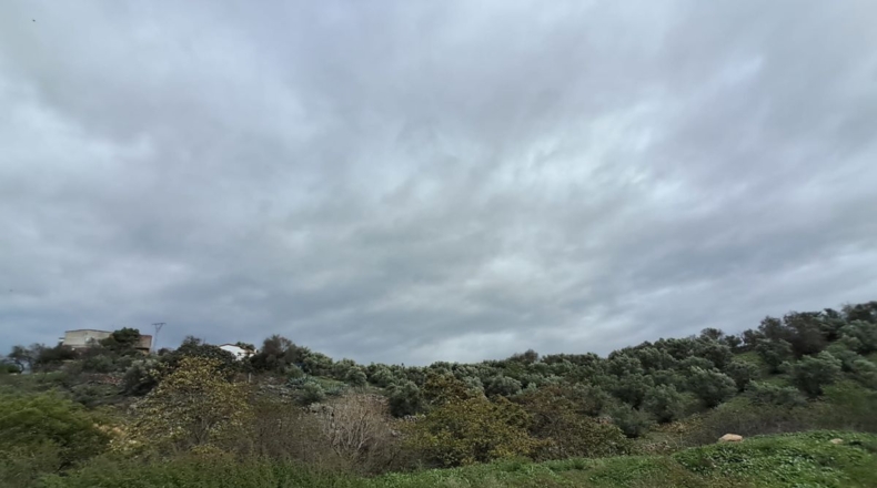 Comunidad de Madrid - La Cabaña - 11237m2