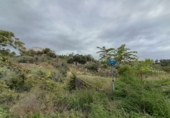 Finca rústica en venta en la España, Becerril de la Sierra, ref: TR104799 foto