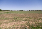 Parcela urbanizable en venta en Fresno de Torote ref: TR182236 foto