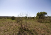 Parcela urbanizable en venta en Fresno de Torote ref: TR182236 foto