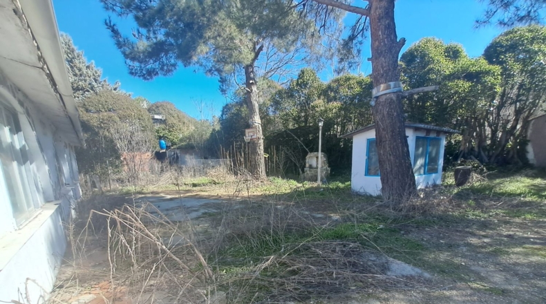 Comunidad de Madrid - La Besana - 900m2