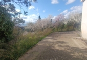 Отдельно стоящий дом с участком на продажу в городе Эль-Касар. Фото