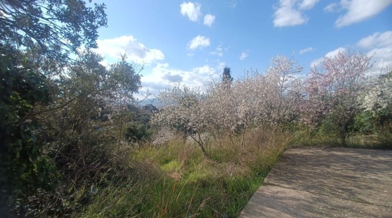 Guadalajara - El Casar - 188m2