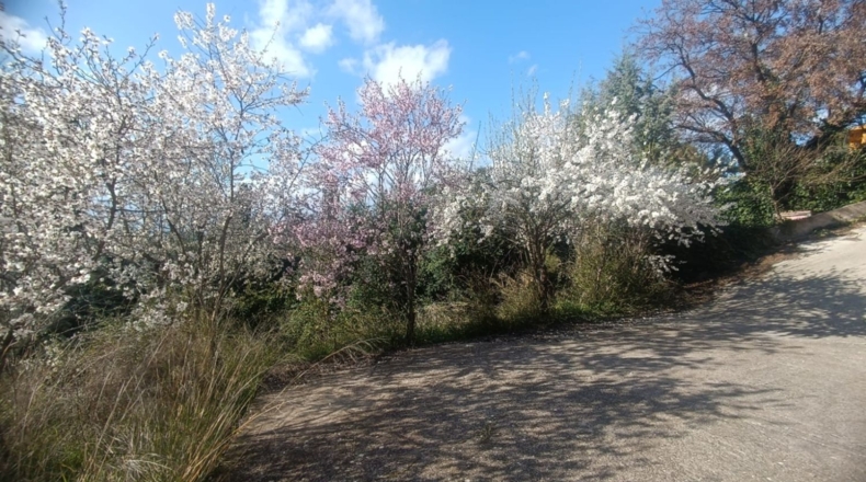 Guadalajara - El Casar - 188m2