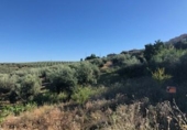 Terreno no urbanizable en venta en Güevéjar ref: TR252155 foto