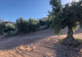 Terreno no urbanizable en venta en Güevéjar ref: TR252155 foto