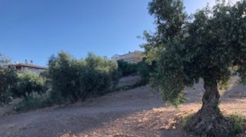 Granada - Güevéjar - 6600m2