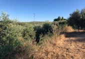 Terreno no urbanizable en venta en Güevéjar ref: TR252155 foto