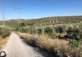 Terreno no urbanizable en venta en Güevéjar ref: TR252155 foto
