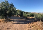 Terreno no urbanizable en venta en Güevéjar ref: TR252155 foto