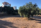 Terreno no urbanizable en venta en Güevéjar ref: TR252155 foto