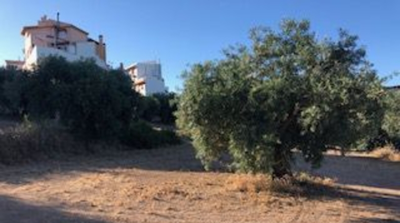 Granada - Güevéjar - 6600m2