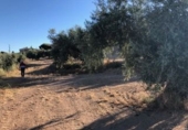 Terreno no urbanizable en venta en Güevéjar ref: TR252155 foto