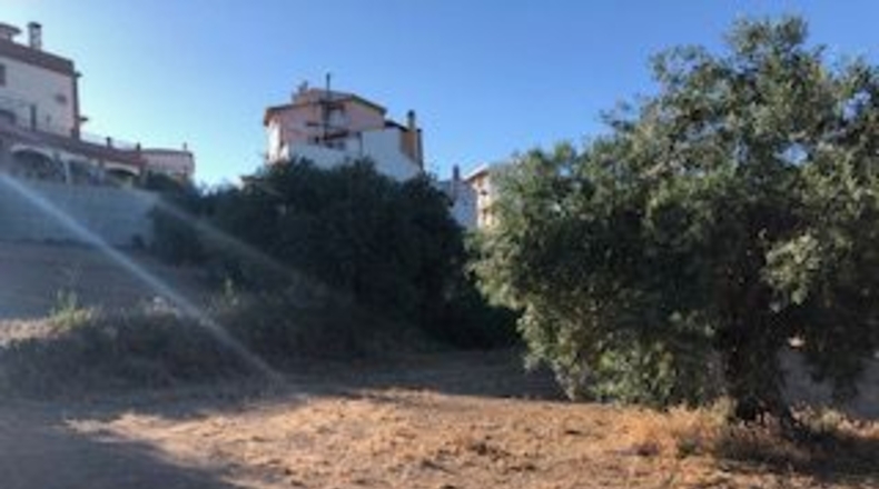 Granada - Güevéjar - 6600m2