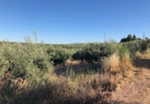 Terreno no urbanizable en venta en Güevéjar ref: TR252155 foto