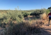 Terreno no urbanizable en venta en Güevéjar ref: TR252155 foto