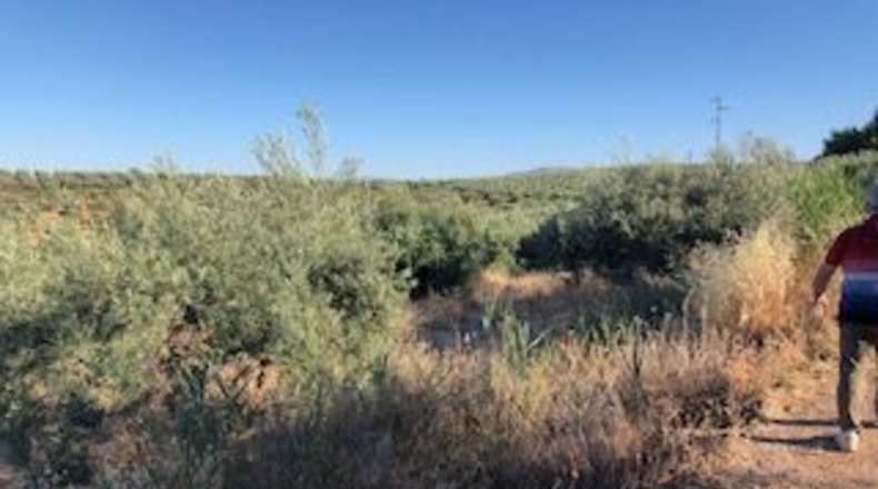 Granada - Güevéjar - 6600m2