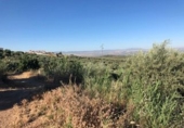 Terreno no urbanizable en venta en Güevéjar ref: TR252155 foto