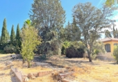 Non-developable land for sale in Albolote ref: TR57395 photo