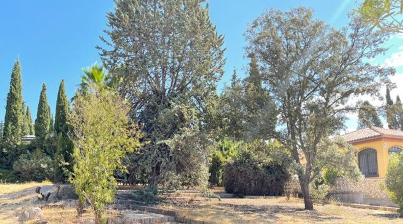 Granada - Cortijo del Aire - 1000m2