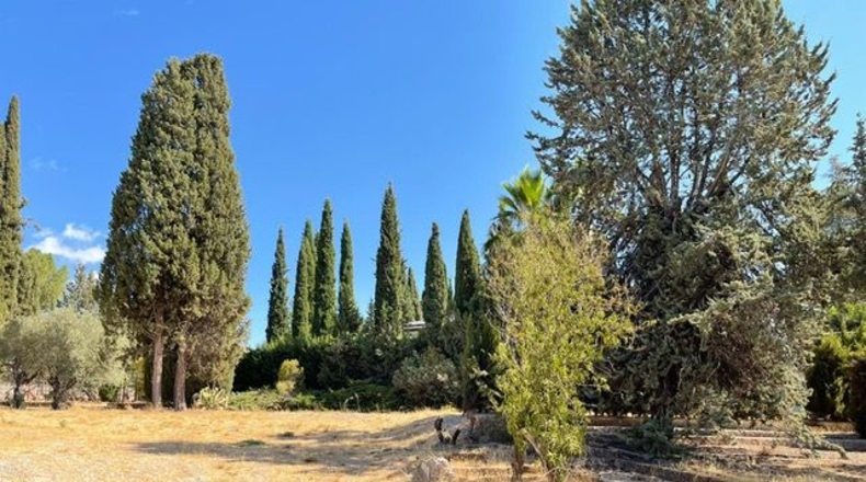 Granada - Cortijo del Aire - 1000m2