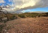 Non-developable land for sale in Cozvíjar ref: TR103941 photo