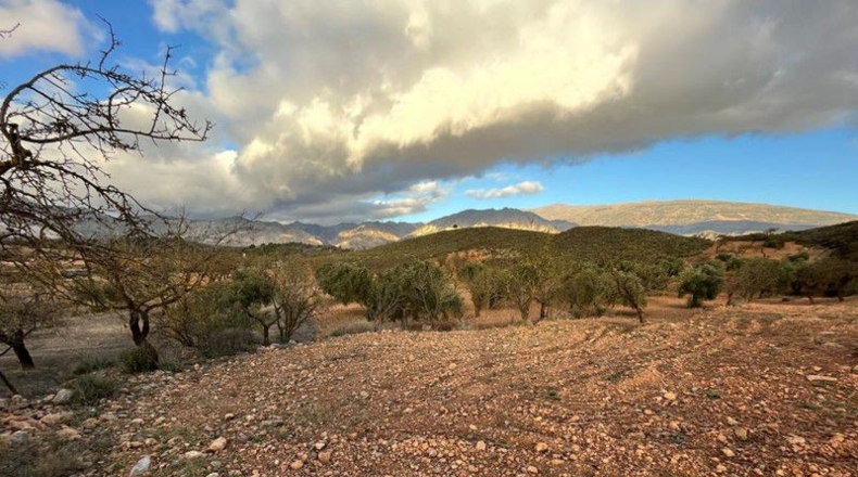 Granada - Cónchar - 10509m2