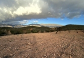 Non-developable land for sale in Cozvíjar ref: TR103941 photo