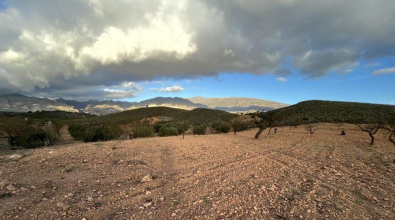 Granada - Cónchar - 10509m2
