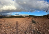 Non-developable land for sale in Cozvíjar ref: TR103941 photo