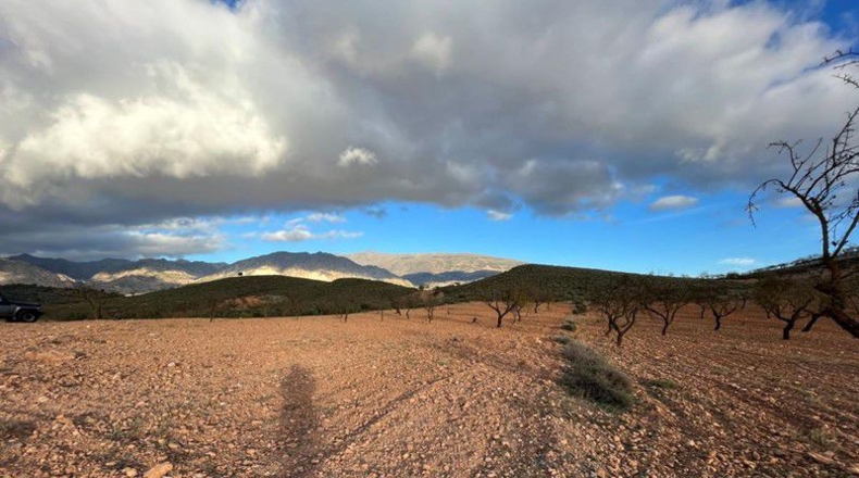 Granada - Cónchar - 10509m2