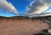 Non-developable land for sale in Cozvíjar ref: TR103941 photo