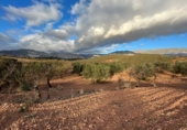 Non-developable land for sale in Cozvíjar ref: TR103941 photo