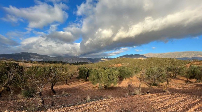 Granada - Cónchar - 10509m2