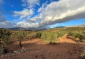 Non-developable land for sale in Cozvíjar ref: TR103941 photo
