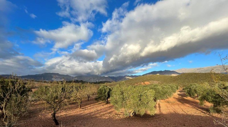 Granada - Cónchar - 10509m2