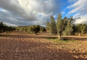 Non-developable land for sale in Cozvíjar ref: TR103941 photo