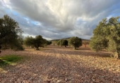 Non-developable land for sale in Cozvíjar ref: TR103941 photo